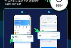 一步到位！教你从官方渠道下载安装 imToken，安全掌控数字资产